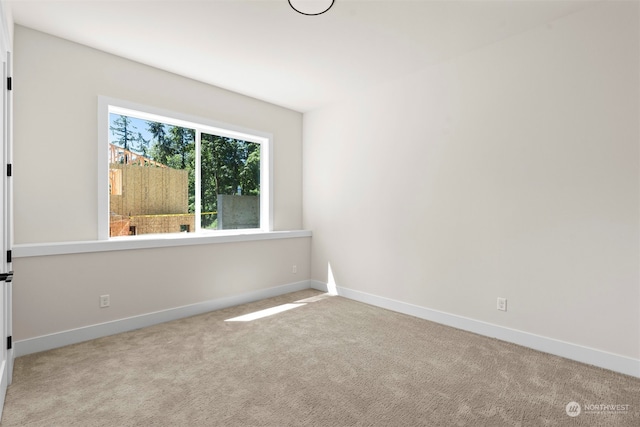 unfurnished room featuring carpet