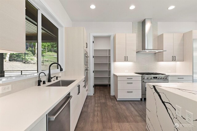 kitchen with wall chimney range hood, dark hardwood / wood-style flooring, sink, appliances with stainless steel finishes, and backsplash