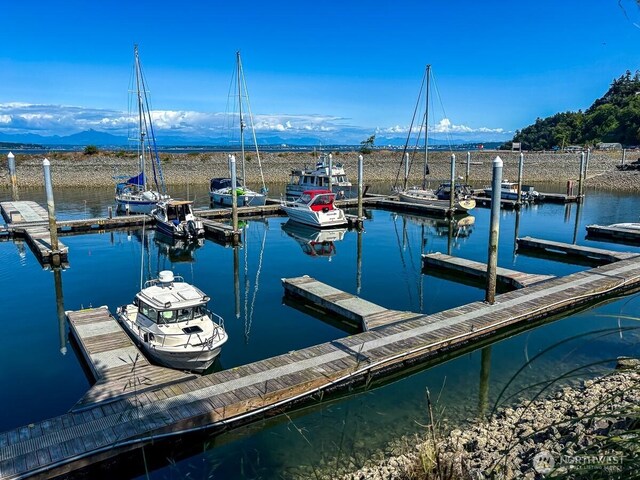 8384 Saratoga Dr, Hat Island, WA 98206 - photo 4