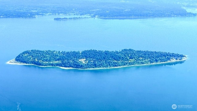 8384 Saratoga Dr, Hat Island, WA 98206 - photo 5