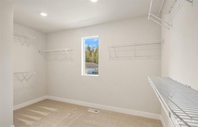 walk in closet featuring carpet flooring