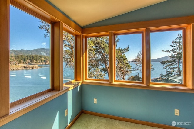 69 Myers St, Orcas Island, WA 98245 - photo 17