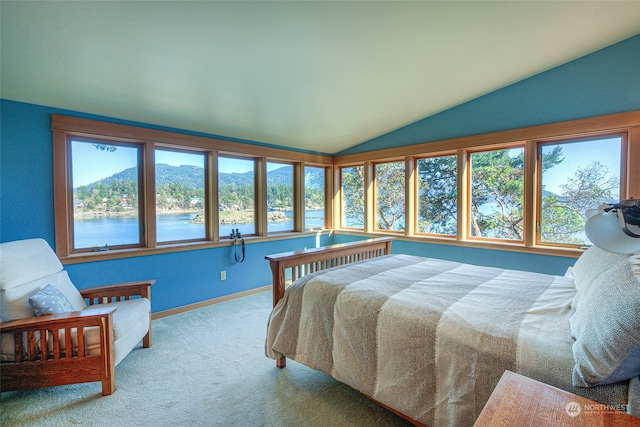 69 Myers St, Orcas Island, WA 98245 - photo 16