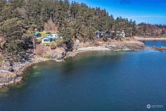 69 Myers St, Orcas Island, WA 98245 - photo 40