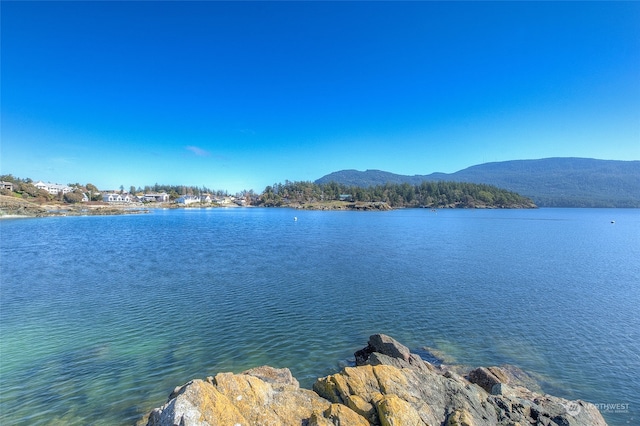 69 Myers St, Orcas Island, WA 98245 - photo 7