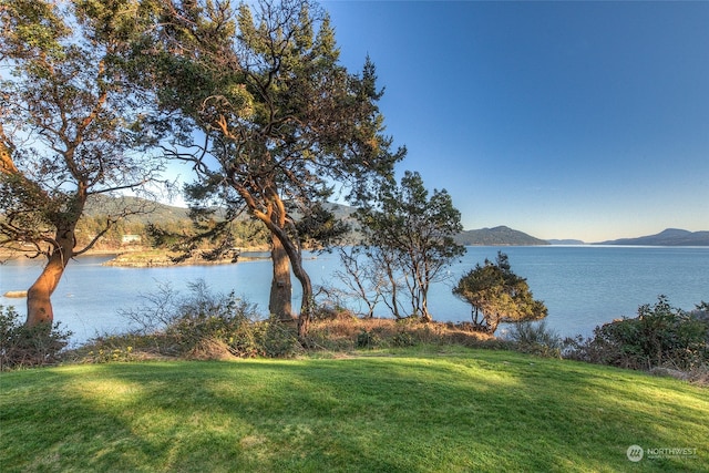 69 Myers St, Orcas Island, WA 98245 - photo 24
