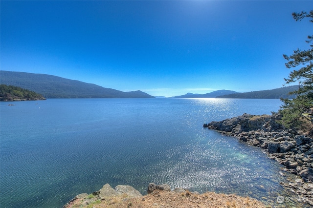 69 Myers St, Orcas Island, WA 98245 - photo 39