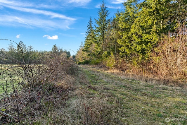 19324 46th St NW, Longbranch WA, 98351 land for sale