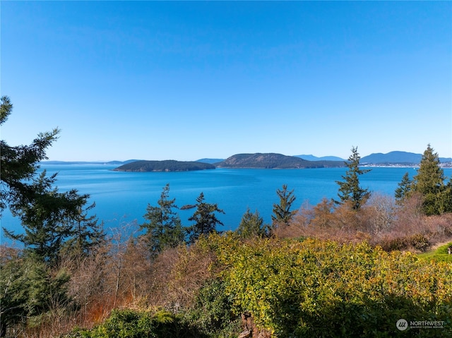 water view with a mountain view