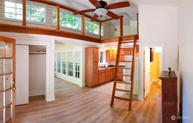 interior space featuring a towering ceiling, light hardwood / wood-style flooring, sink, and a closet