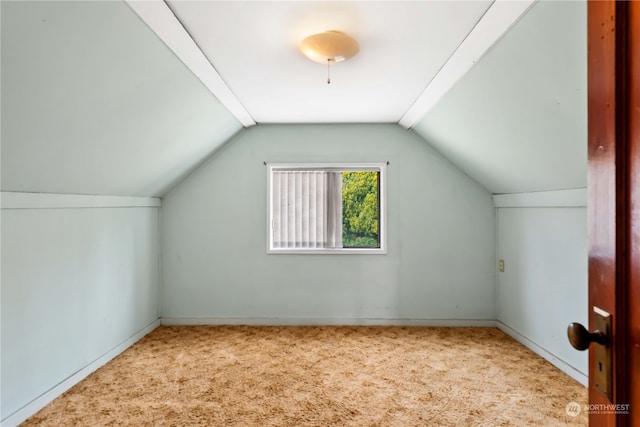 additional living space with vaulted ceiling and carpet flooring