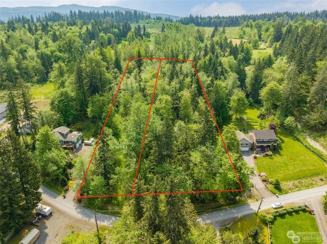 34323 Thomas Rd E, Eatonville WA, 98328 land for sale