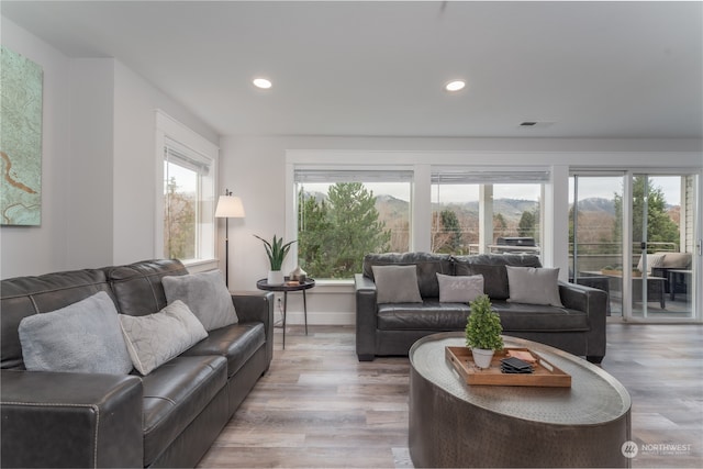 living room with light hardwood / wood-style flooring