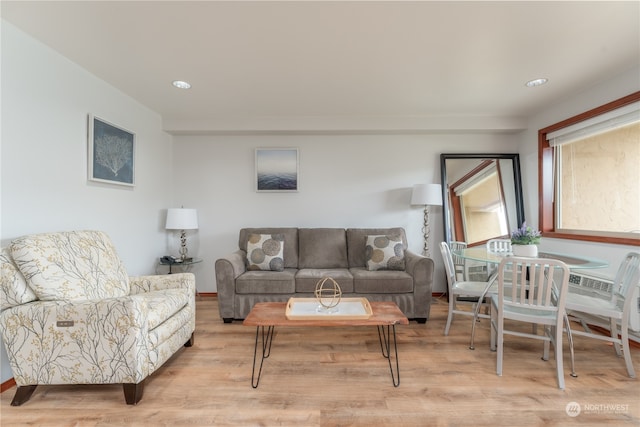 living room with light wood-type flooring