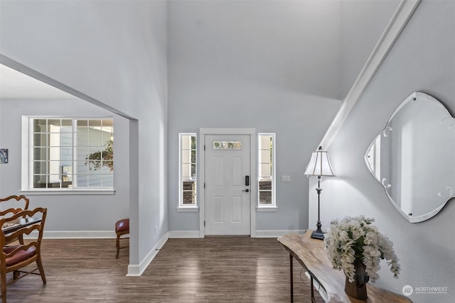 foyer entrance with a high ceiling and dark wood-type flooring