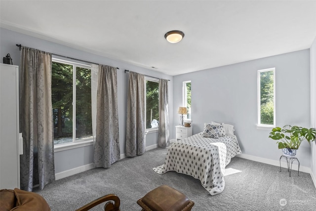 bedroom featuring carpet