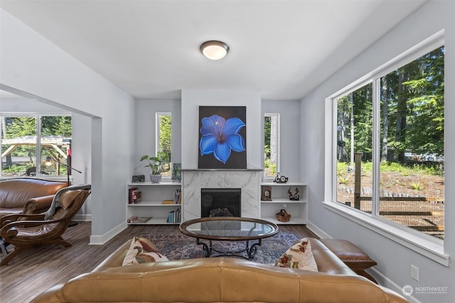 living room with wood-type flooring and a premium fireplace