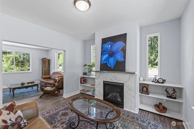 living room with wood-type flooring and a high end fireplace