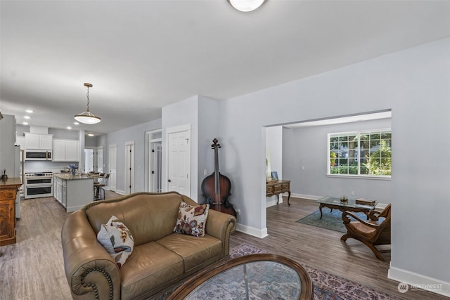 living room with hardwood / wood-style floors