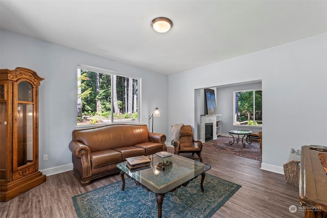 living room with dark hardwood / wood-style flooring and plenty of natural light