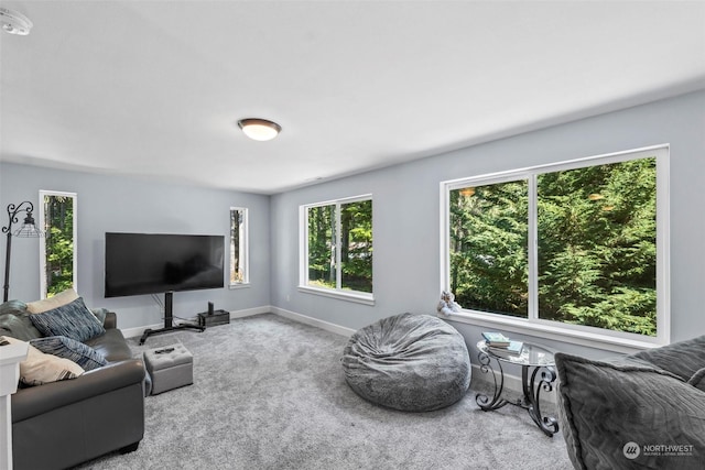 living room featuring carpet floors and plenty of natural light