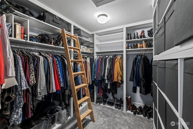 spacious closet featuring carpet flooring