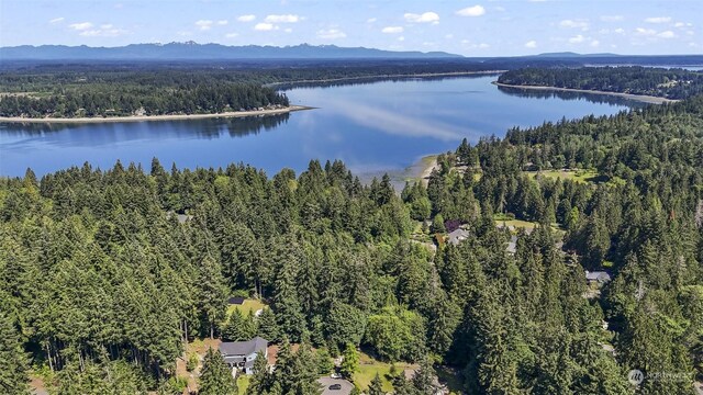 birds eye view of property with a water and mountain view