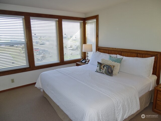 bedroom with carpet flooring