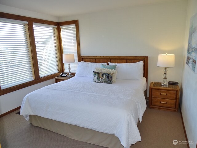 view of carpeted bedroom