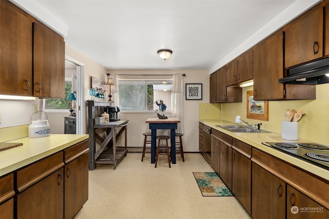 kitchen with plenty of natural light, ventilation hood, dark brown cabinetry, and sink