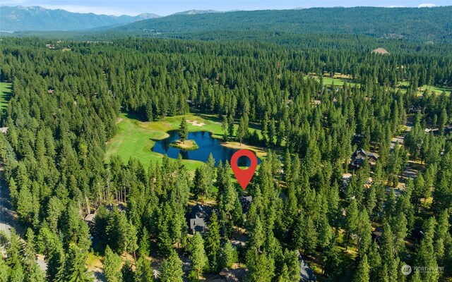 birds eye view of property featuring a water and mountain view