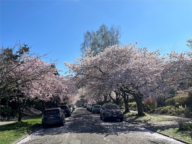 view of street