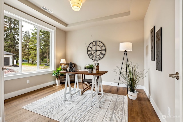 office space featuring a tray ceiling, a healthy amount of sunlight, and light hardwood / wood-style floors