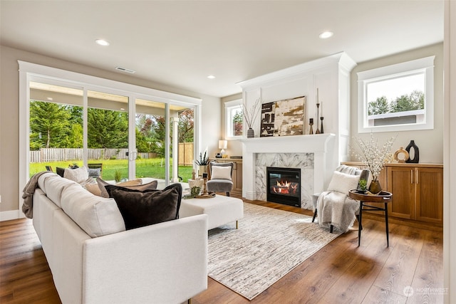 living room featuring dark wood-type flooring and a premium fireplace