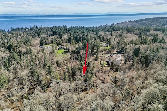 9248 NE Country Woods Ln, Kingston WA, 98346 land for sale