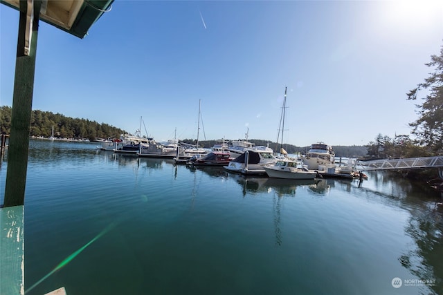 water view with a dock