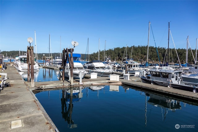 view of dock with a water view