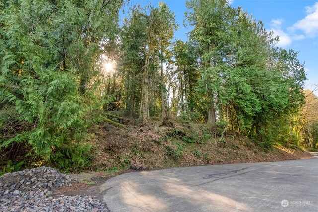 0 Talmo Dr NW, Gig Harbor, WA 98332 - photo 9