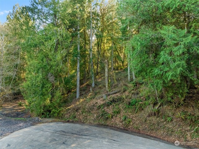 0 Talmo Dr NW, Gig Harbor, WA 98332 - photo 8