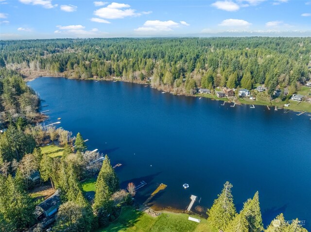 0 Talmo Dr NW, Gig Harbor, WA 98332 - photo 5