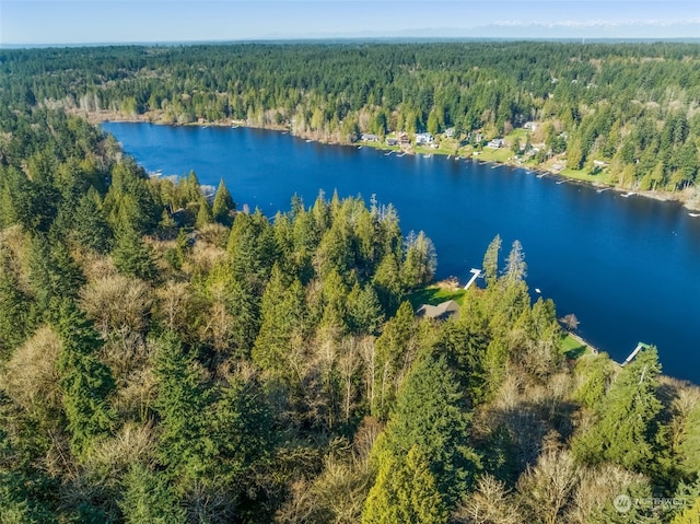0 Talmo Dr NW, Gig Harbor, WA 98332 - photo 15