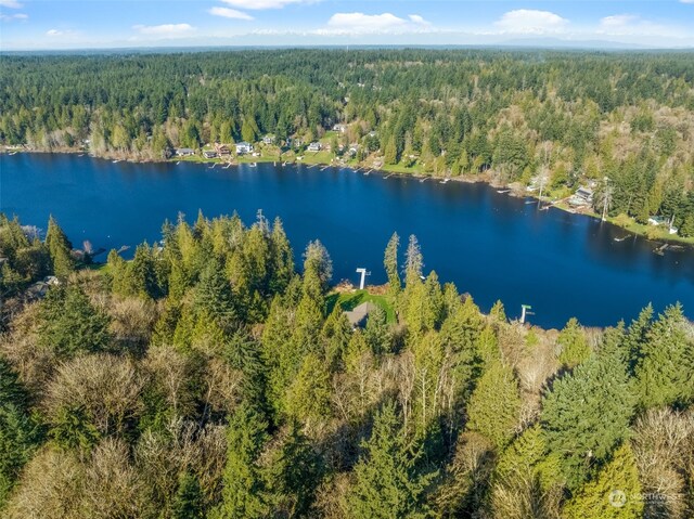 0 Talmo Dr NW, Gig Harbor, WA 98332 - photo 4