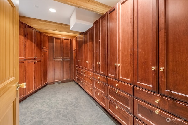 spacious closet with light colored carpet