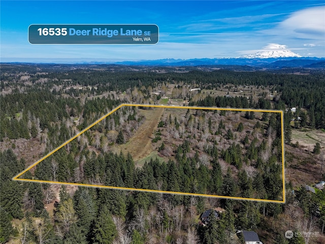 Listing photo 3 for 16535 Deer Ridge Ln SE, Yelm WA 98597