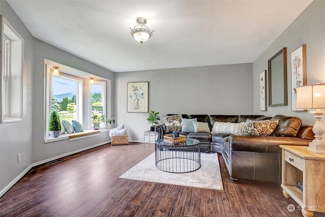 living room featuring dark hardwood / wood-style flooring