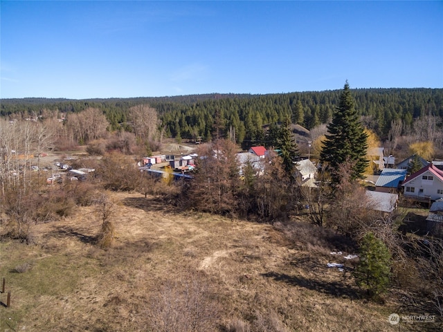 505 S 1st St, Roslyn, WA 98941 - photo 4