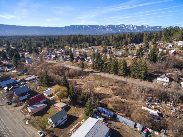 505 S 1st St, Roslyn, WA 98941 - photo 6