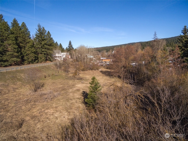 505 S 1st St, Roslyn, WA 98941 - photo 13