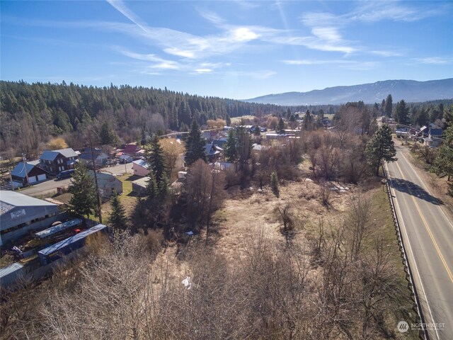 505 S 1st St, Roslyn, WA 98941 - photo 14