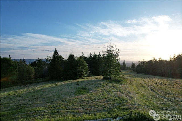 Listing photo 3 for 0 Grimm Pl, Kelso WA 98626